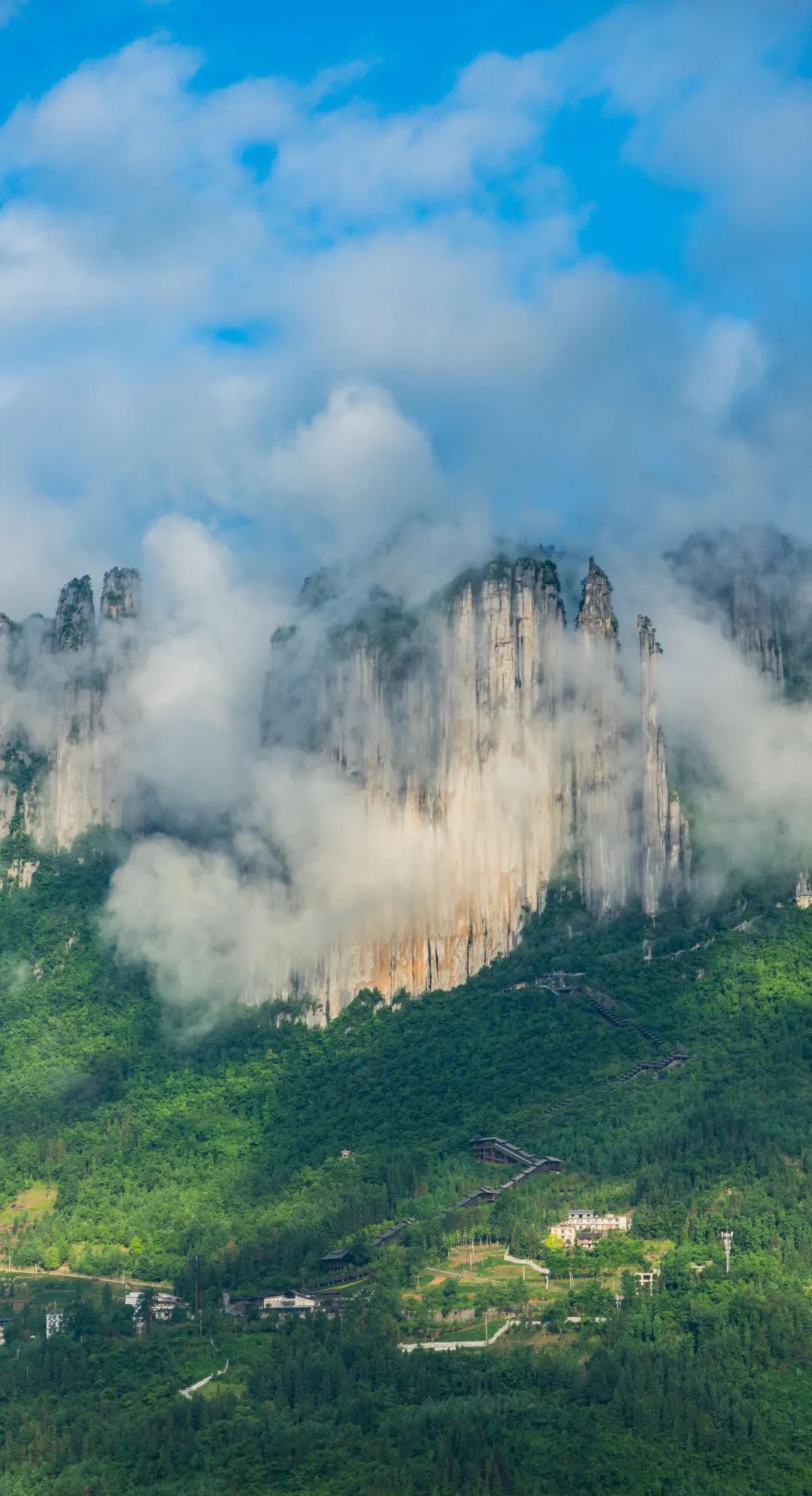 恩施富硒茶鉴(恩施富硒茶口感如何)-硒宝网
