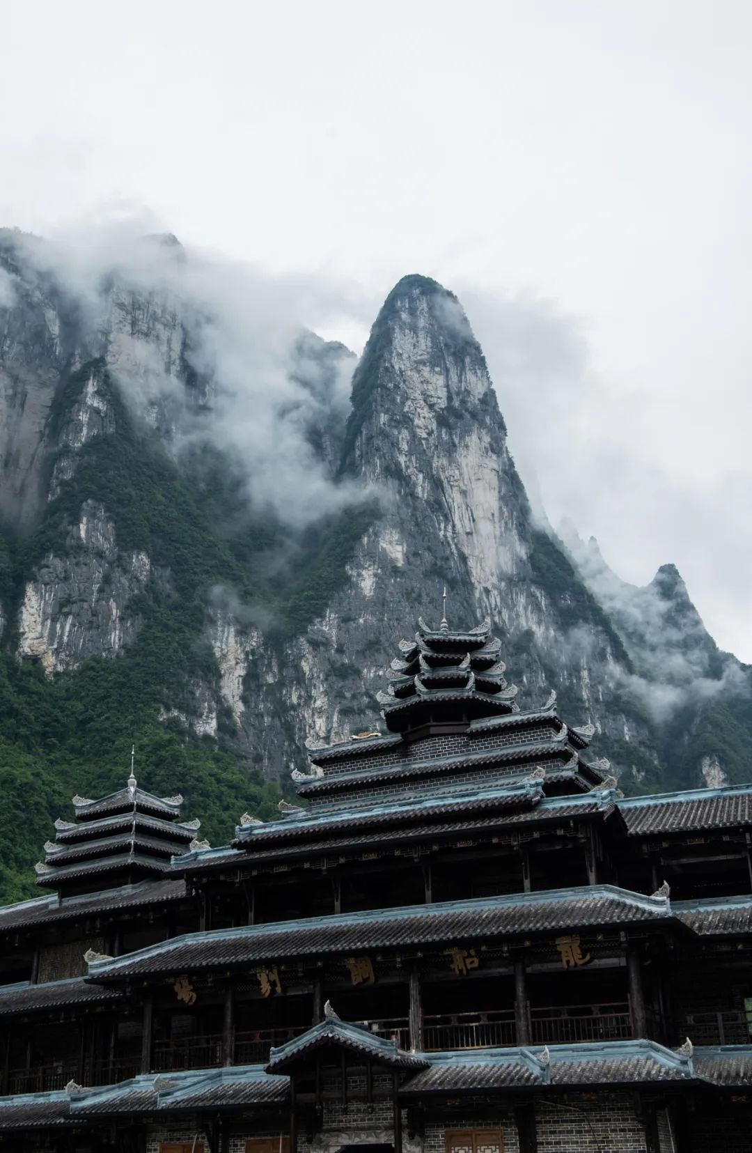 恩施富硒茶鉴(恩施富硒茶口感如何)-硒宝网