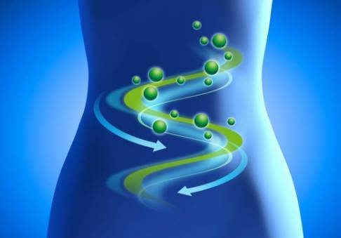 富硒霜桑叶茶（桑叶茶好还是霜桑叶好）-硒宝网