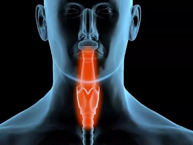 富硒霜桑叶茶（桑叶茶好还是霜桑叶好）-硒宝网