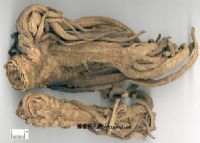 雨露山富硒茶（仙人尖仙寓山富硒野茶）-硒宝网