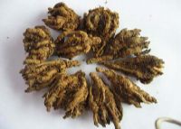 雨露山富硒茶（仙人尖仙寓山富硒野茶）-硒宝网