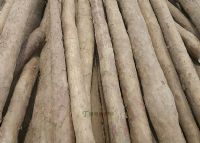 雨露山富硒茶（仙人尖仙寓山富硒野茶）-硒宝网