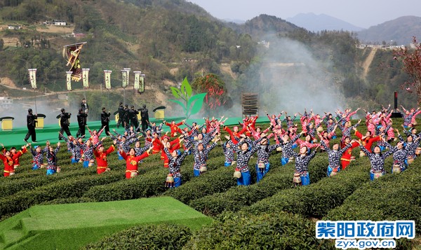 柞水有富硒茶(茶富硒有柞水作用吗)-硒宝网