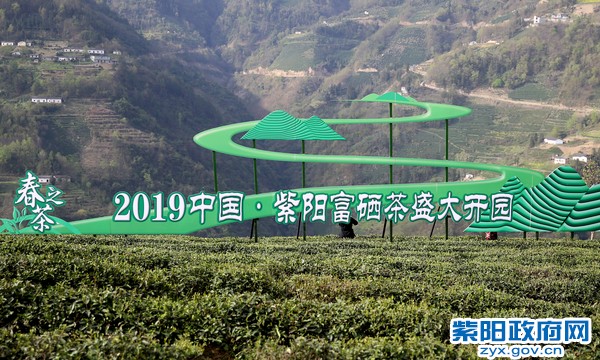 柞水有富硒茶(茶富硒有柞水作用吗)-硒宝网