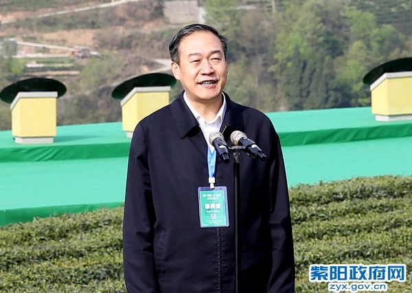 柞水有富硒茶(茶富硒有柞水作用吗)-硒宝网