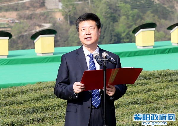 柞水有富硒茶(茶富硒有柞水作用吗)-硒宝网