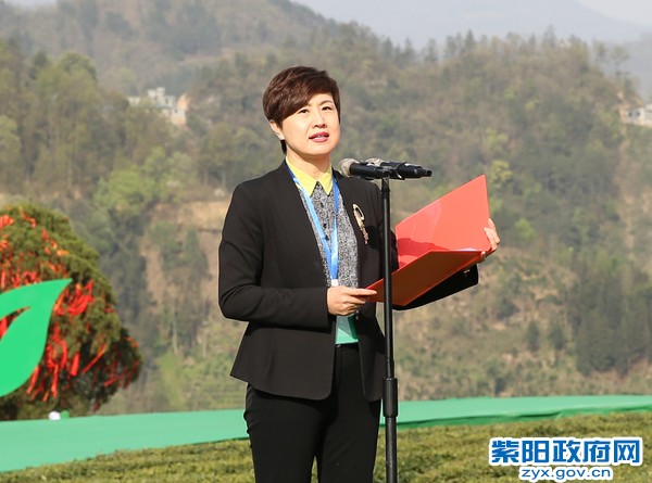 柞水有富硒茶(茶富硒有柞水作用吗)-硒宝网