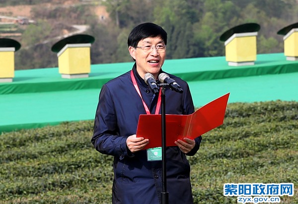 柞水有富硒茶(茶富硒有柞水作用吗)-硒宝网