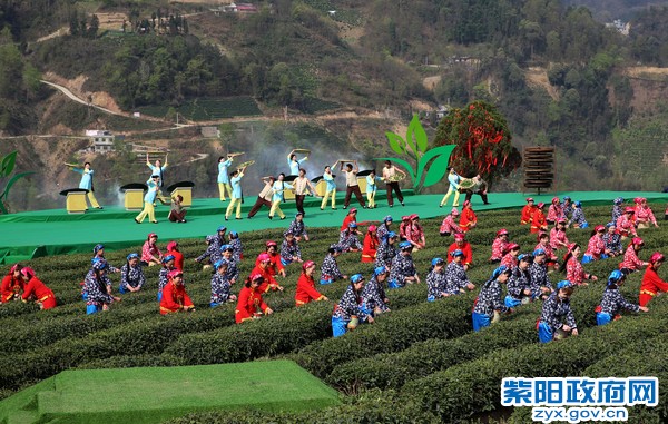 柞水有富硒茶(茶富硒有柞水作用吗)-硒宝网
