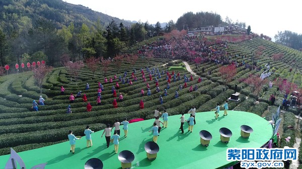 柞水有富硒茶(茶富硒有柞水作用吗)-硒宝网