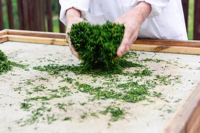 板栗香富硒茶(板栗香的茶是什么茶)-硒宝网