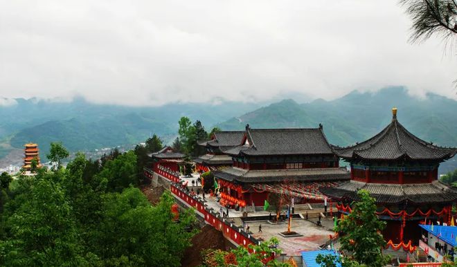 文笔山富硒茶(文笔山富硒茶)-硒宝网