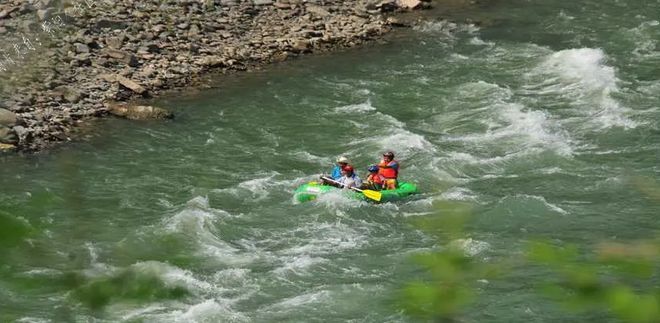 文笔山富硒茶(文笔山富硒茶)-硒宝网