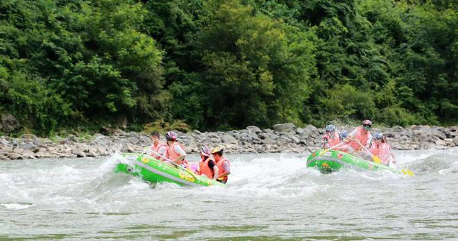 文笔山富硒茶(文笔山富硒茶)-硒宝网