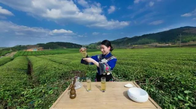 遵义红富硒茶（恩施富硒红茶）-硒宝网