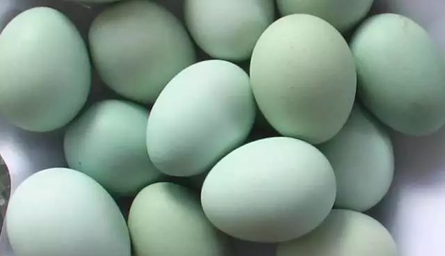 遵义红富硒茶（恩施富硒红茶）-硒宝网