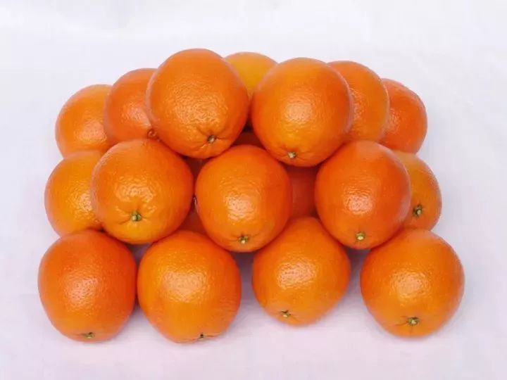 遵义红富硒茶（恩施富硒红茶）-硒宝网