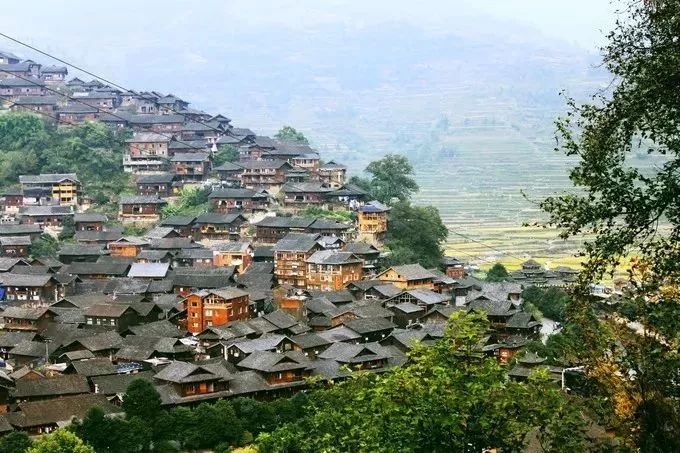 遵义红富硒茶（恩施富硒红茶）-硒宝网