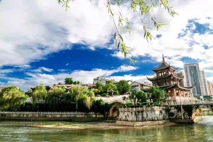 遵义红富硒茶（恩施富硒红茶）-硒宝网