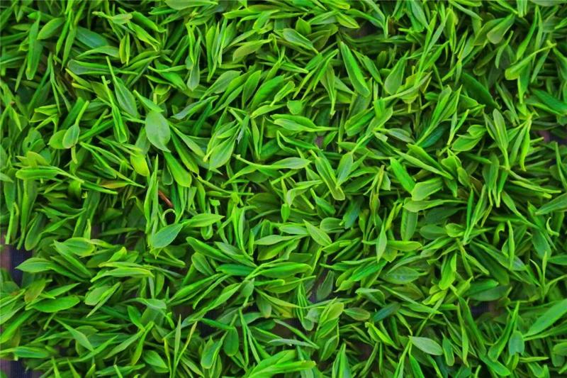 池州富锌硒茶(富锌硒茶叶)-硒宝网