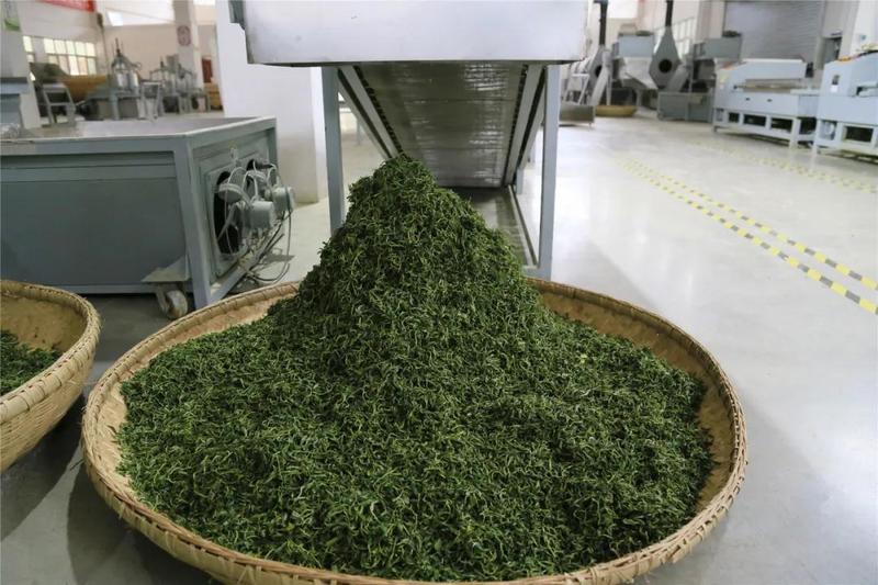 池州富锌硒茶(富锌硒茶叶)-硒宝网