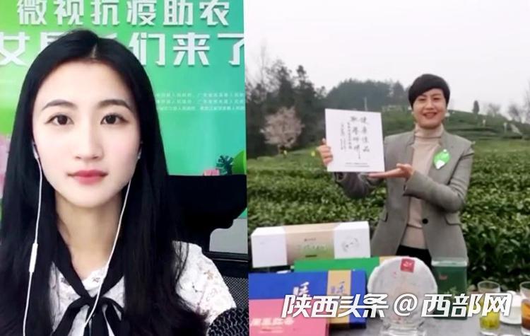 买紫阳富硒茶(紫阳富硒茶的竞争对手)-硒宝网