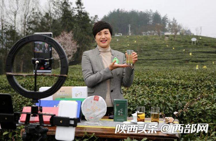 买紫阳富硒茶(紫阳富硒茶的竞争对手)-硒宝网