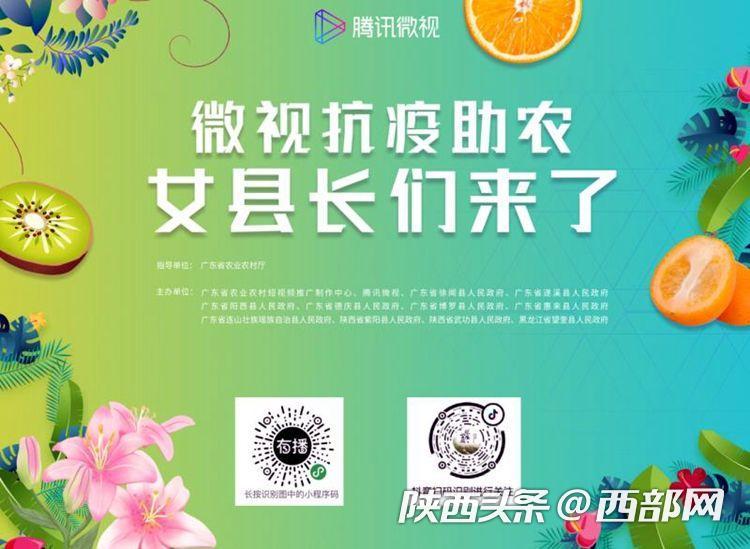 买紫阳富硒茶(紫阳富硒茶的竞争对手)-硒宝网