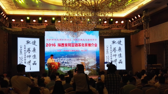 紫阳春富硒茶（富硒紫阳绿茶）-硒宝网