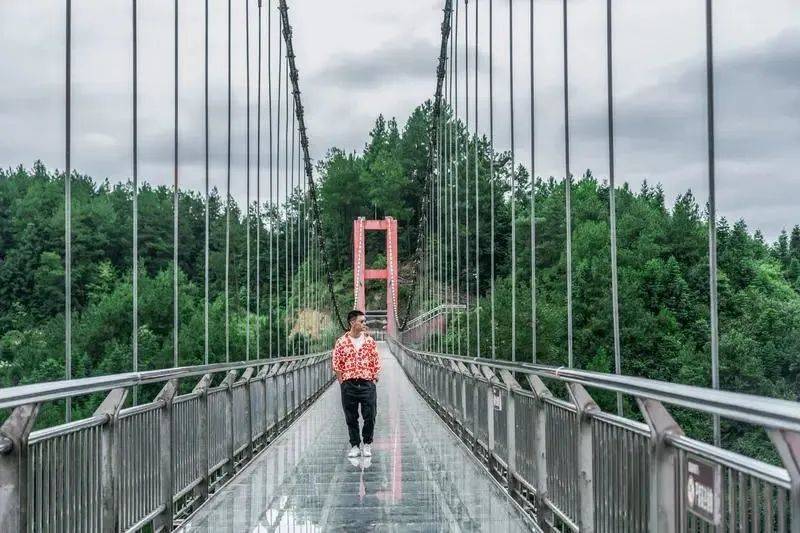 凤冈锌硒富茶（凤冈锌硒茶好处）-硒宝网