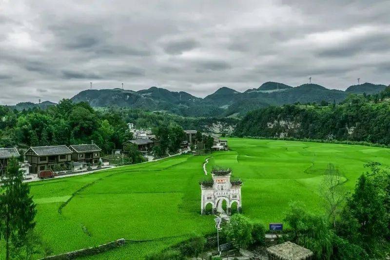 凤冈锌硒富茶（凤冈锌硒茶好处）-硒宝网