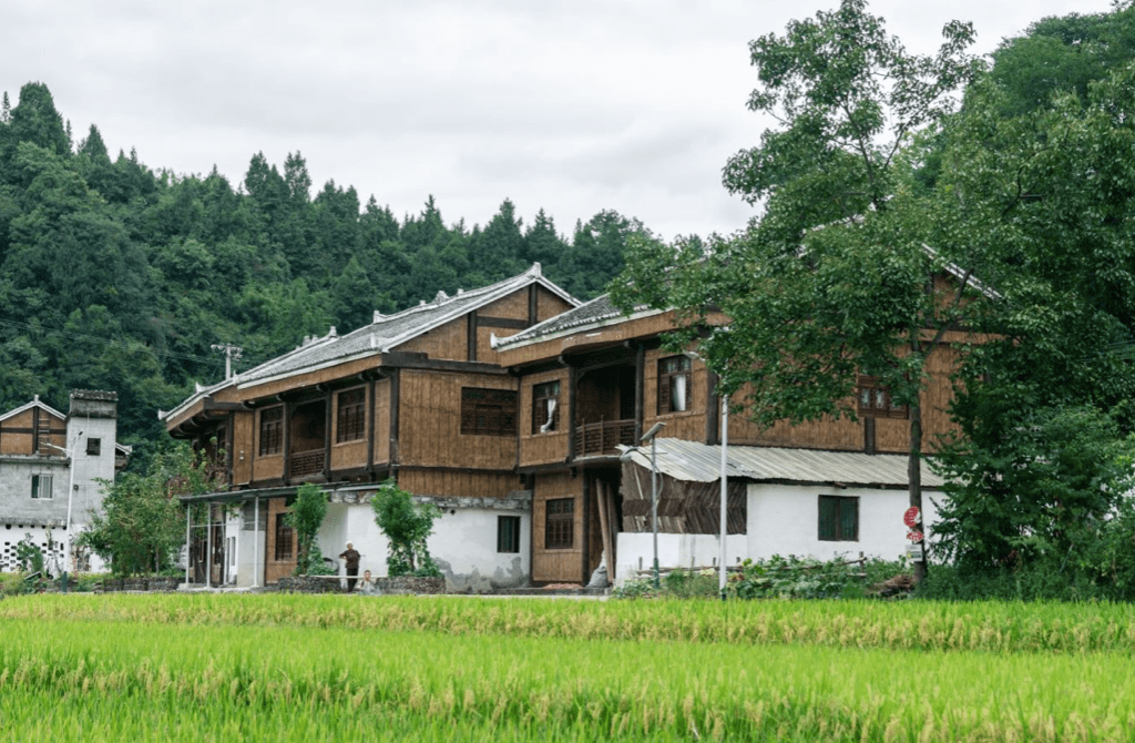 凤冈锌硒富茶（凤冈锌硒茶好处）-硒宝网