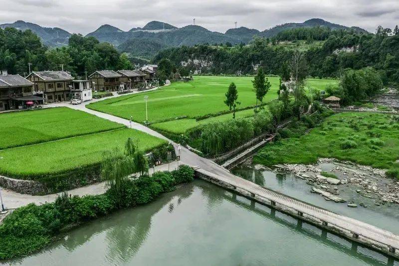 凤冈锌硒富茶（凤冈锌硒茶好处）-硒宝网