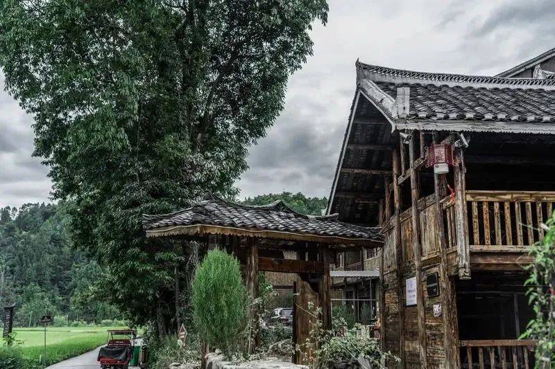 凤冈锌硒富茶（凤冈锌硒茶好处）-硒宝网