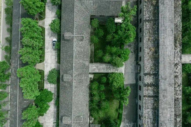 凤冈锌硒富茶（凤冈锌硒茶好处）-硒宝网