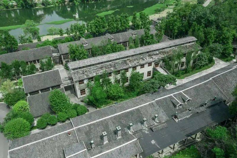 凤冈锌硒富茶（凤冈锌硒茶好处）-硒宝网