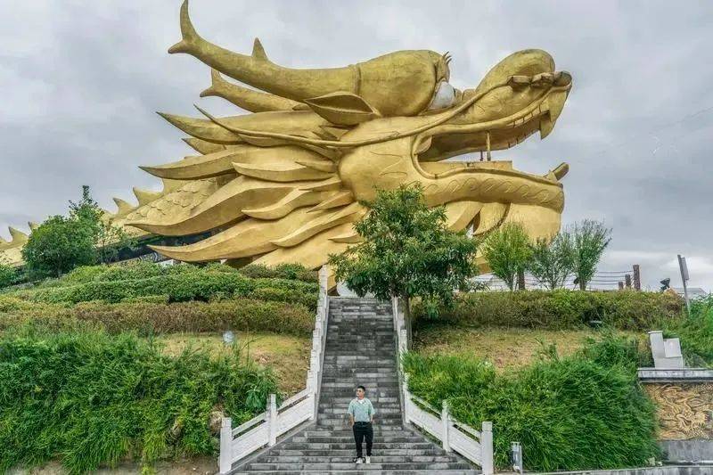 凤冈锌硒富茶（凤冈锌硒茶好处）-硒宝网