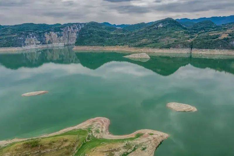 凤冈锌硒富茶（凤冈锌硒茶好处）-硒宝网
