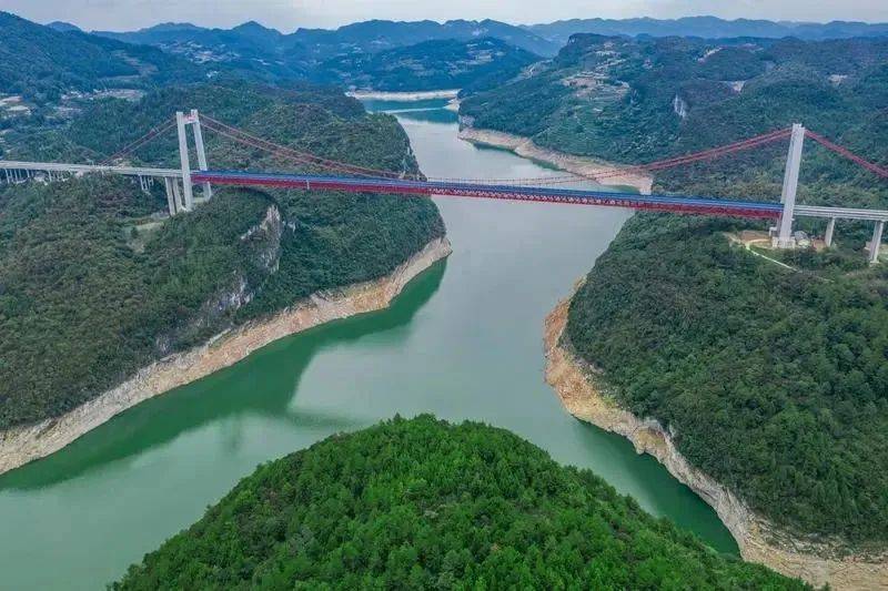 凤冈锌硒富茶（凤冈锌硒茶好处）-硒宝网