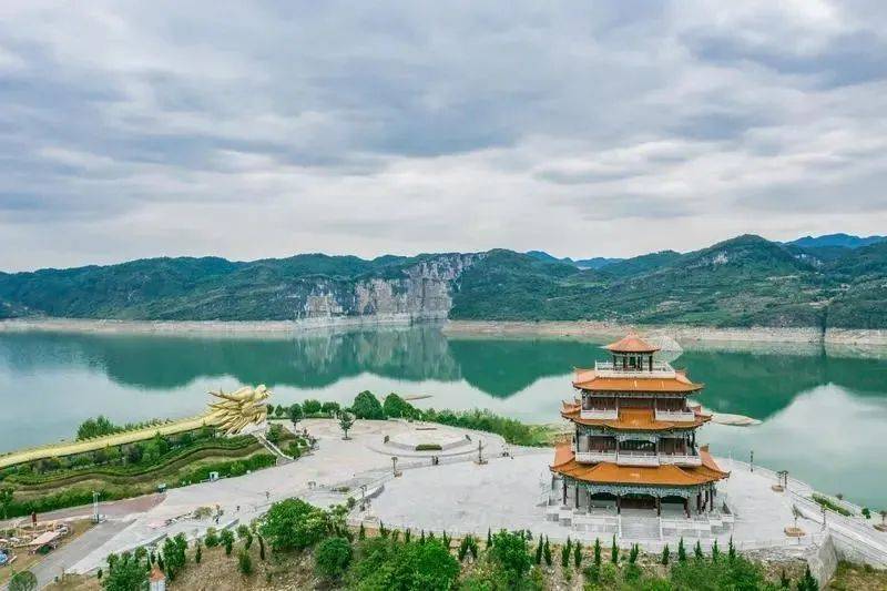 凤冈锌硒富茶（凤冈锌硒茶好处）-硒宝网