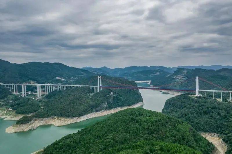 凤冈锌硒富茶（凤冈锌硒茶好处）-硒宝网