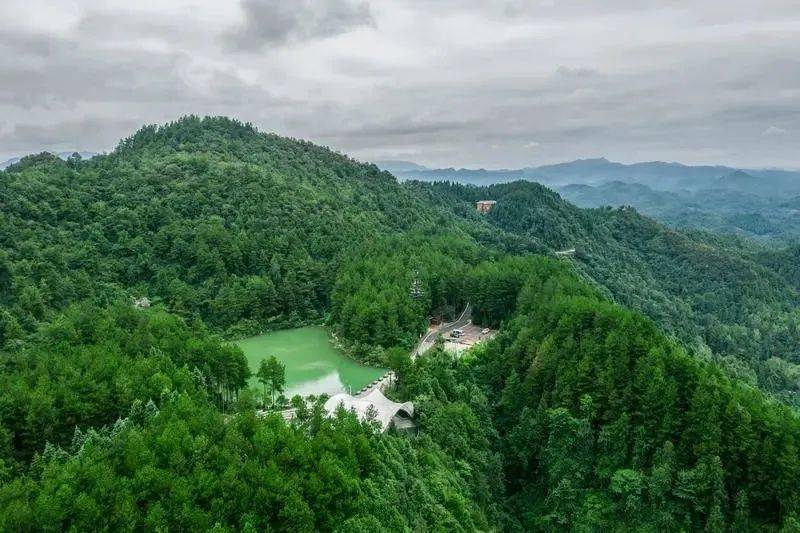 凤冈锌硒富茶（凤冈锌硒茶好处）-硒宝网