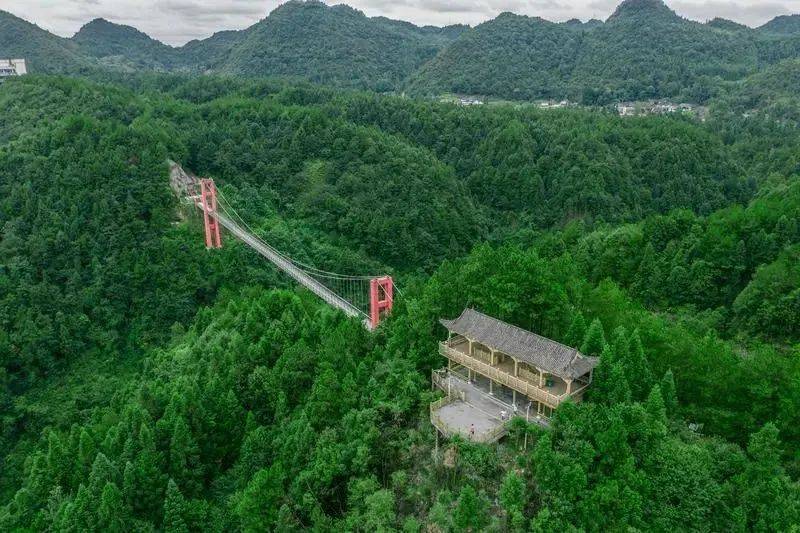 凤冈锌硒富茶（凤冈锌硒茶好处）-硒宝网