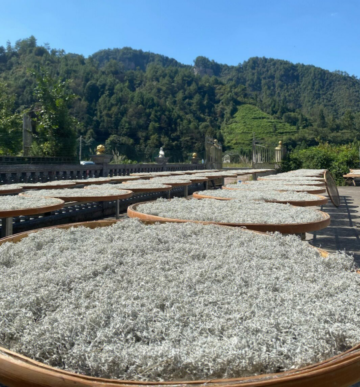 富硒藤茶传人（富硒藤茶的冲泡方法）-硒宝网