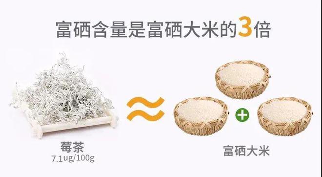 富硒莓茶价格(莓茶的价格)-硒宝网