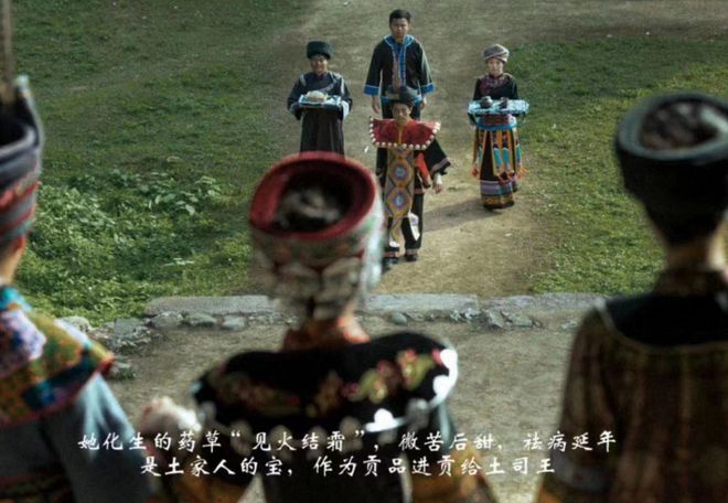 富硒莓茶价格(莓茶的价格)-硒宝网