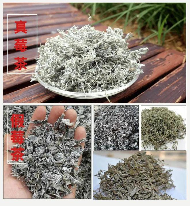 富硒莓茶价格(莓茶的价格)-硒宝网