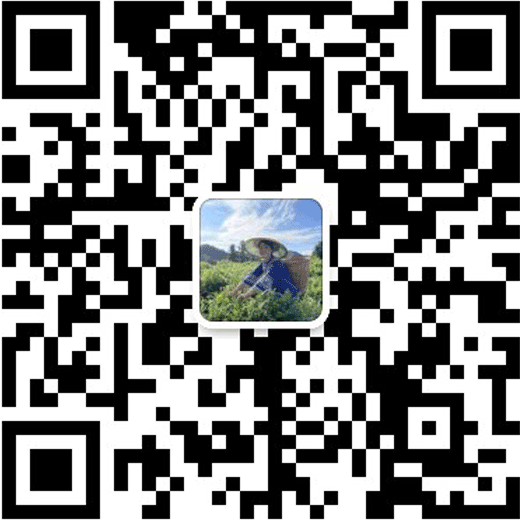 富硒莓茶价格(莓茶的价格)-硒宝网