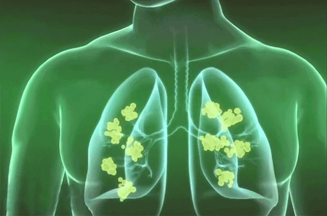 富硒莓茶价格(莓茶的价格)-硒宝网